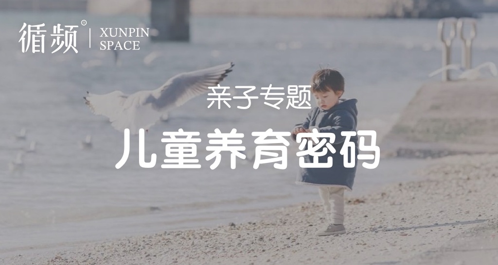 人类图咨询师筑基修炼记 （2阶咨询师课程训练营）