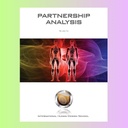 【高阶特色推荐】亲密伙伴关系分析.pdf（全英版） 